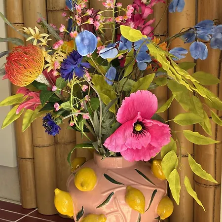 Casa Tranquila - Paradise Сан-Мигель-де-Салинас